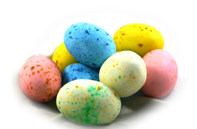 BIRDS EGGS